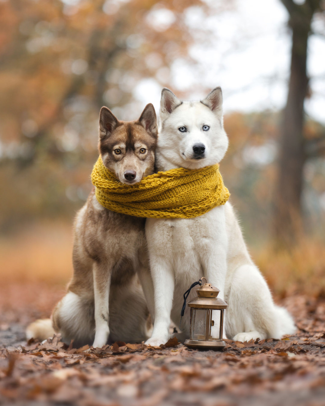 Gemütlich & warm