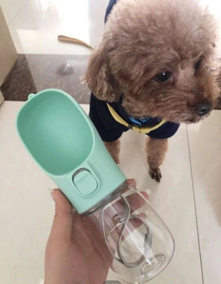 To-Go Hundeflasche - Abenteuer ohne Durst