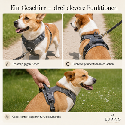 Brustgeschirr für Hunde "Das Geschirr das nicht zieht"